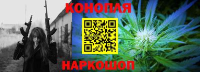прущие грибы Пугачёв