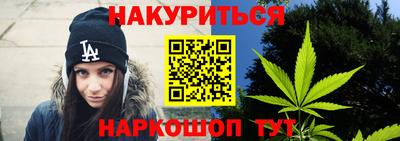 прущие грибы Пугачёв