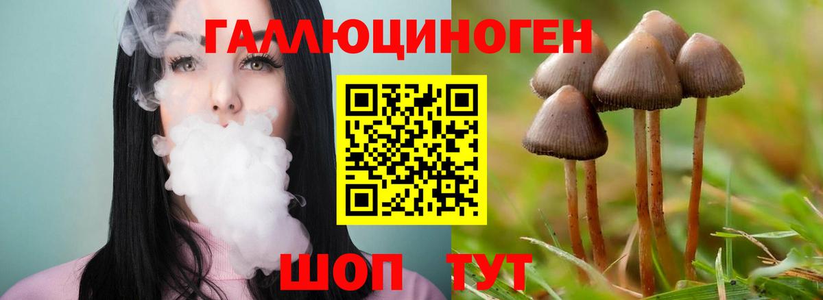 Галлюциногенные грибы мухоморы Первоуральск